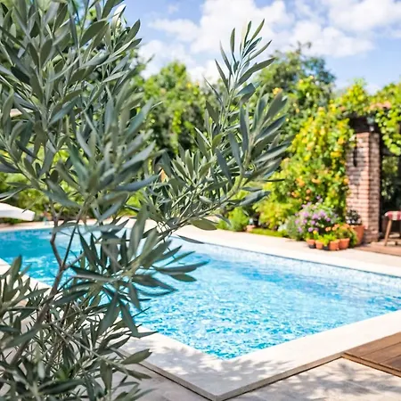 Casa de Férias Casa Sole Beheizter Pool By Interhome Pula